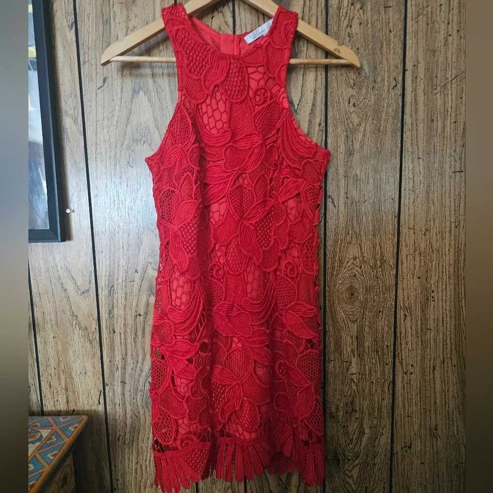 LOVERS + FRIENDS / REVOLVE Red Caspian Lace Overlay Dress - XS - Picture 5 of 11